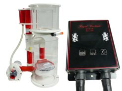 Royal Exclusiv Bubble King DeLuxe 200 internal + BK DC 24V