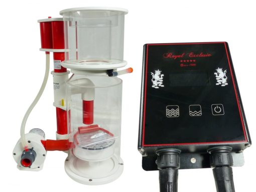 Royal Exclusiv Bubble King DeLuxe 200 internal + BK DC 24V