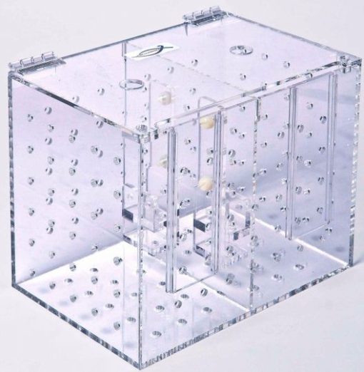 AQUARIOOM SASU Acclimation tank DUAL