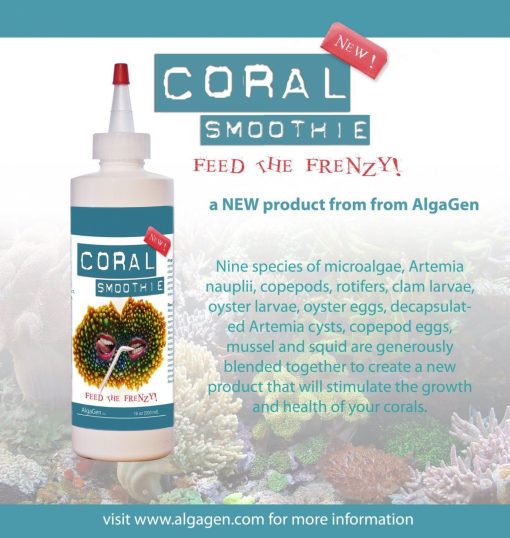 AlgaGen Coral Smoothie 500ml
