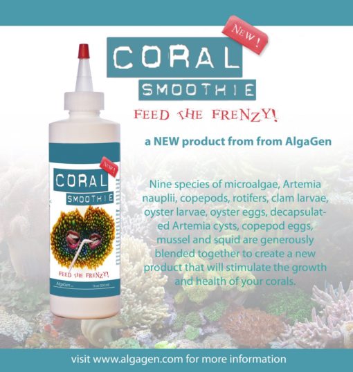 AlgaGen Coral Smoothie 500ml 3