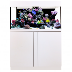 Aqua Medic Cabinet Magnifica 100 CF graphite-black