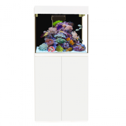 Aqua Medic Cabinet white 6