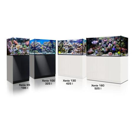 Aqua Medic Filter L.1 - cabinet filter system app. 65 x 50 x 45 cm 5