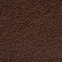Aquaforest AF Anthias Pro Feed - feed for carnivorous fish/Anthias (~2mm/120g)