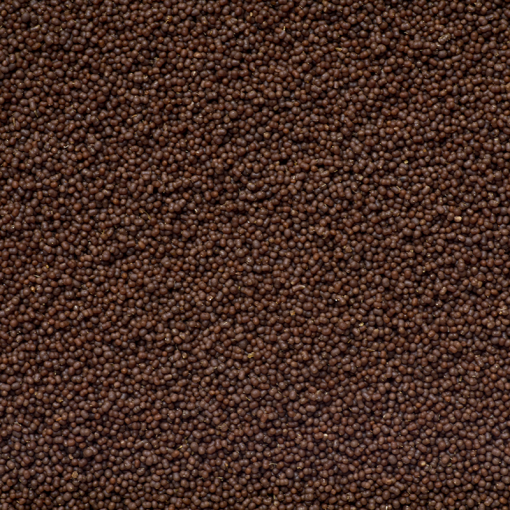 Aquaforest AF Anthias Pro Feed - feed for carnivorous fish/Anthias (~2mm/120g)