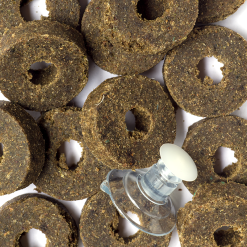 Aquaforest AF Vege Clip - algea food on the clip, 120g