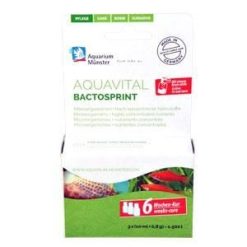 Aquarium Muenster AQUAVITAL BACTOSPRINT 6-Wochen-Kur