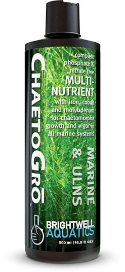 Brightwell Aquatics ChaetoGrō - for Chaetomorpha growth (500ml)