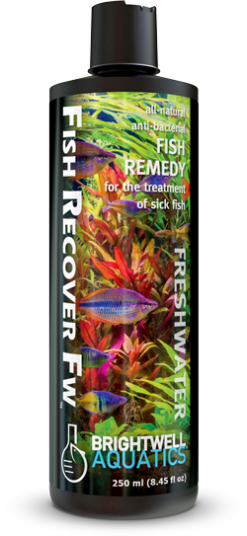 Brightwell Aquatics Fish Recover FW - treatment of bacterial infections (250ml)