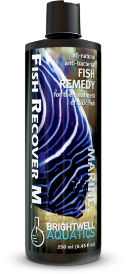 Brightwell Aquatics Fish Recover M - treatment of bacterial infections (250ml)