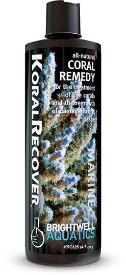 Brightwell Aquatics KoralRecover - treats coral diseases (125ml)