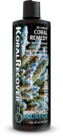 Brightwell Aquatics KoralRecover - treats coral diseases (250ml)
