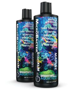 Brightwell Aquatics MicroBacter Start XLM (500ml)