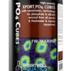 Brightwell Aquatics Xport PO4 Cubes - bacterial colonization for PHOSPHATES reduction (1000ml) 2