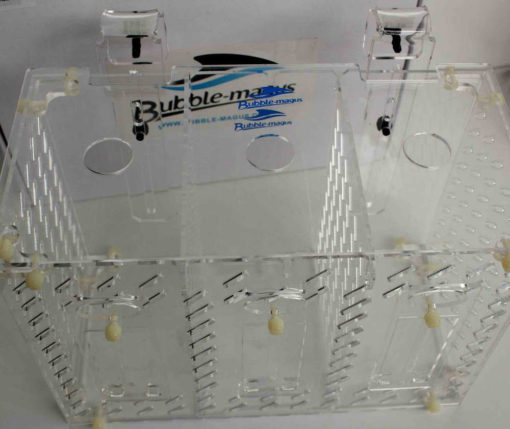 Bubble Magus habituation box for fishes 3