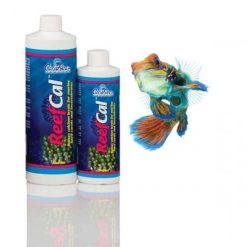 CaribSea ReefCal 237 ml