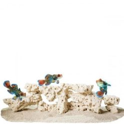 CaribSea South Seas Shelf Rock 18,14 kg