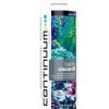 Continuum Aquatics BacterClean*M, 500ml 1