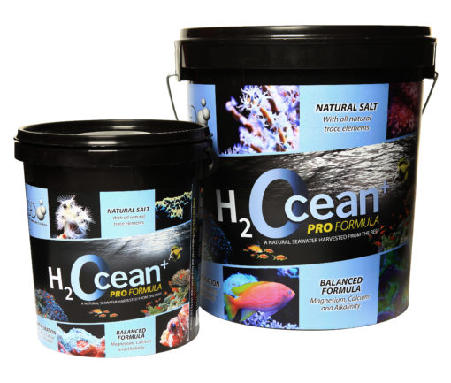 D-D H2Ocean PRO+ Reef salt - professional reef salt, bucket (6,6kg) 13