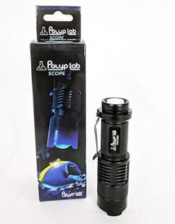 PolypLab Scope Flashlight