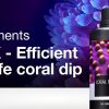 Red Sea DipX - effective dip for corals (12x100ml) 2