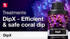 Red Sea DipX - effective dip for corals (12x100ml)
