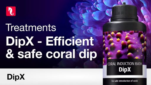 Red Sea DipX - effective dip for corals (12x100ml) 2
