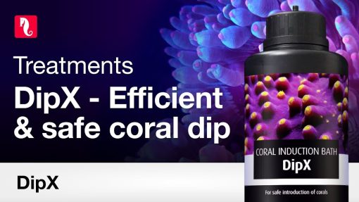 Red Sea DipX - effective dip for corals (12x100ml)