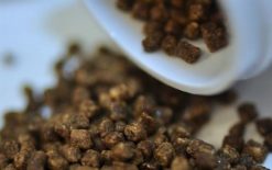 Easy Reefs DKI marine Pellets 2 mm 50 gr 6