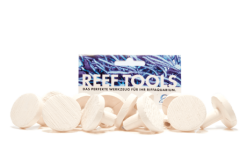 Fauna Marin Reef Disc Maxi 3,3 cm Ø - Maxi Ablegersteine - 12stk / pcs