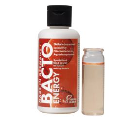 Fauna Marin Bacto Energy 100ml
