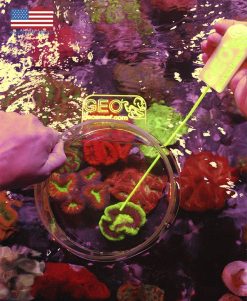 GEO GEO´s Reef Looking Glass w/pointer