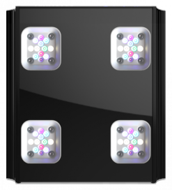 GHL Mitras LX 7004, black, (AUS Australia) 4