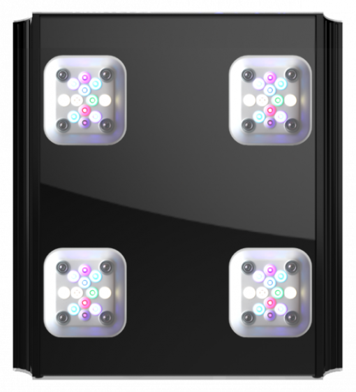 GHL Mitras LX 7004, black, (AUS Australia) - Image 3