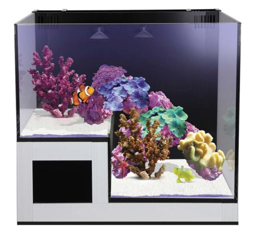 Innovative Marine Nuvo Concept ABYSS PANORAMA - aquarium + pump, fitration (75L) 7