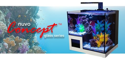 Innovative Marine Nuvo Concept ABYSS PENINSULA - aquarium + pump, fitration (75L) 6