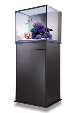 Innovative Marine Nuvo Fusion 40 - aquarium + pump, filtration (150 L)