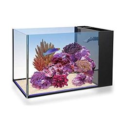 Innovative Marine Nuvo Fusion PENINSULA 14 - aquarium + pump (52 L)