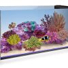 Innovative Marine Nuvo Fusion PENINSULA 20- aquarium + pump (75 L) 4