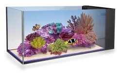 Innovative Marine Nuvo Fusion PENINSULA 20- aquarium + pump (75 L)