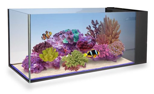 Innovative Marine Nuvo Fusion PENINSULA 20- aquarium + pump (75 L)