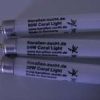 Korallenzucht KZ T5 Coral Light 80 W 2