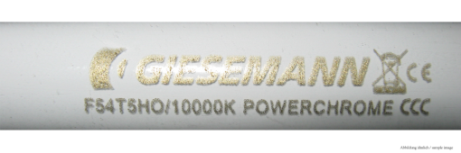 Giesemann LUXON T-5 Lampe High Output - 10 K - 24 W 2
