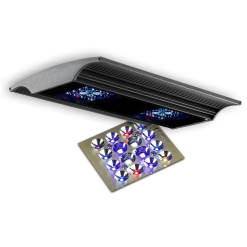 Giesemann VERVVE G-3 upgrade HR -