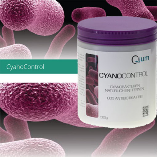 Lyox CyanoControl - fast fight of cyano bacteria, 500g 5