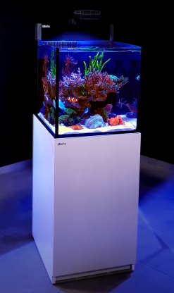 Red Sea MAX NANO G2 Peninsula - complete reef system (100L, white)