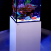 Red Sea MAX NANO G2 XL - complete reef system (125L, white) 1