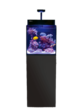 Red Sea MAX® NANO G2 CUBE - complete reef system (75L, black)