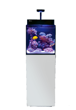 Red Sea MAX® NANO G2 CUBE - complete reef system (75L, white)